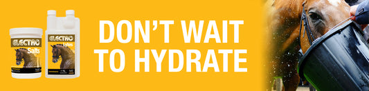 Electrolytes & Hydration with NAF