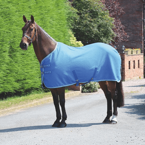 Horse Rugs