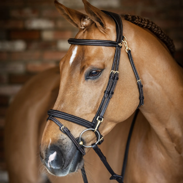 Brown horse wears a leather bridle against a brick wall