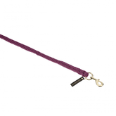 Purple dog leash with a gold clasp on a white background
