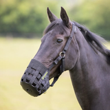 Horse wearing a black muzzle in an outdoor setting