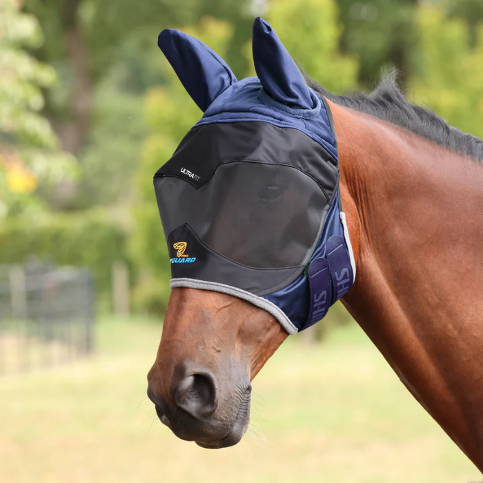 Horse wearing a blue fly mask with a blurred green background