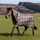 Horse wearing a brown and pink check turnout rug in a field.