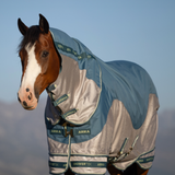 Horse wearing a blue and gray fly sheet with a clear window on a blurred natural background