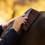 LeMieux AW26 Flicky Brush Varient Navy. A close-up of a person grooming a dark brown horse outdoors, using a dark gray and pink horse brush on the horse's neck. The background is a soft, warm golden bokeh of autumn trees.