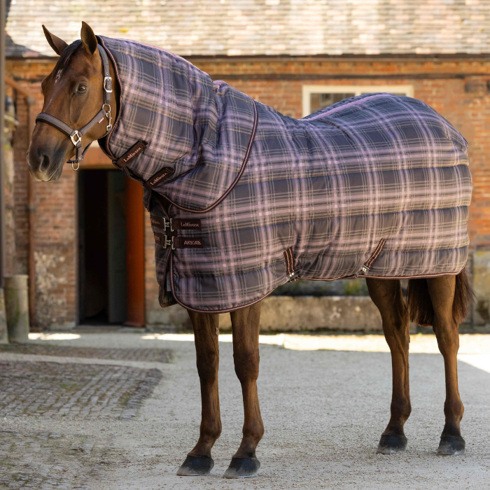 A brown horse standing outdoors in front of a brick building, wearing a plaid horse blanket and matching horse halter. The blanket has a muted purple, gray, and beige tartan pattern.