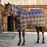 A brown horse standing outdoors in front of a brick building, wearing a plaid horse blanket and matching horse halter. The blanket has a muted purple, gray, and beige tartan pattern.