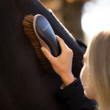 LeMieux AW26 Dandy Brush LeMieux AW26 Dandy Brush Varient Navy. A close-up lifestyle shot of a person grooming a dark horse with a dark gray and pink LeMieux horse brush.