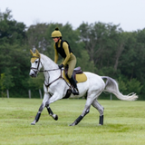 LeMieux AW26 Suede Close Contact Square Varient Gooseberry. A person riding a white horse across a grassy field, wearing a black and olive riding outfit with a matching helmet. The horse has a white and gray coat with black leg wraps, and the background shows trees under an overcast sky.