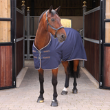 Horse wearing a blue blanket standing in front of stable doors.