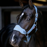 Horse wearing a halter with a brand logo in a stable setting
