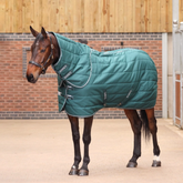 Horse stood in a barn wearing a green/blue Shires rug with a detachable neck.
