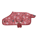 LeMieux AW26 Toy Pony Printed Turnout Rug Variant Colour Spiced Earth. A toy pony rug in spiced earth colour with star print on white background.