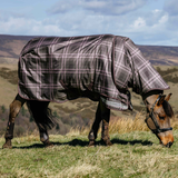 A horse standing outdoors on a grassy hill wearing a plaid horse blanket with a dark brown, gray, and muted pink pattern. The background shows rolling hills under a cloudy sky.