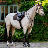 Horse with full saddle and bridle on grenery background