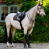 Horse with full saddle and bridle on grenery background