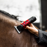 Red and black horse clippers clipping horse