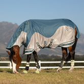 Horse wearing a blue and gray fly sheet in an outdoor setting with mountains in the background
