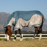 Horse wearing a blue and gray fly sheet in an outdoor setting with mountains in the background