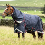 Horse wearing a navy blue turnout rug stands in a field with long grass
