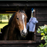 Horse looking out of a stable with a blue plush elephant toy hanging inside