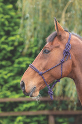 Shires Rope Control Headcollar