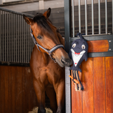 horse in stable with door open mouthing dolphin shape toy