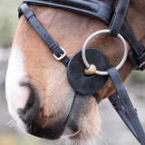 LeMieux Silicone Bit Rings attached to the bit in horse's mouth