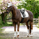 Brown horse with a saddle and bridle standing on a path with greenery in the background