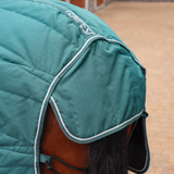 Close-up of a horse wearing a teal quilted horse blanket with white piping and a visible Tempest brand tab, set against a blurred stable background.