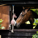 Horse looking at a giraffe toy through a wooden door.