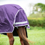 A purple horse turnout blanket with white piping and a reflective stripe, shown on a horse standing in a grassy field.
