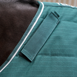 Close-up of a horse wearing a green striped blanket with white trim and a black strap, showing the horse's dark brown fur and the fabric texture.