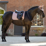 A black horse standing outdoors in front of a brick building, wearing a pink and black equestrian saddle pad, bridle, ear covers, and leg wraps.