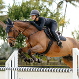 Horse and rider jumping a fence full equipment on faded background