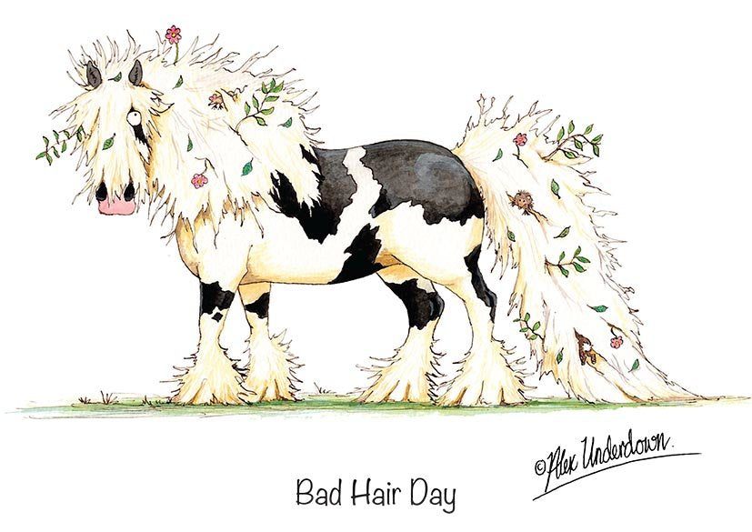 Alex Underdown 'Bad Hair Day' Greeting Card