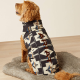Dog wearing a patterned coat sitting on a rug indoors.