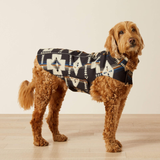Ariat Team Softshell Dog Jacket in Thornstone Print
