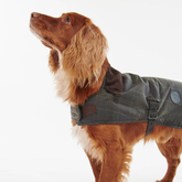 Barbour Tartan Wax Dog Coat