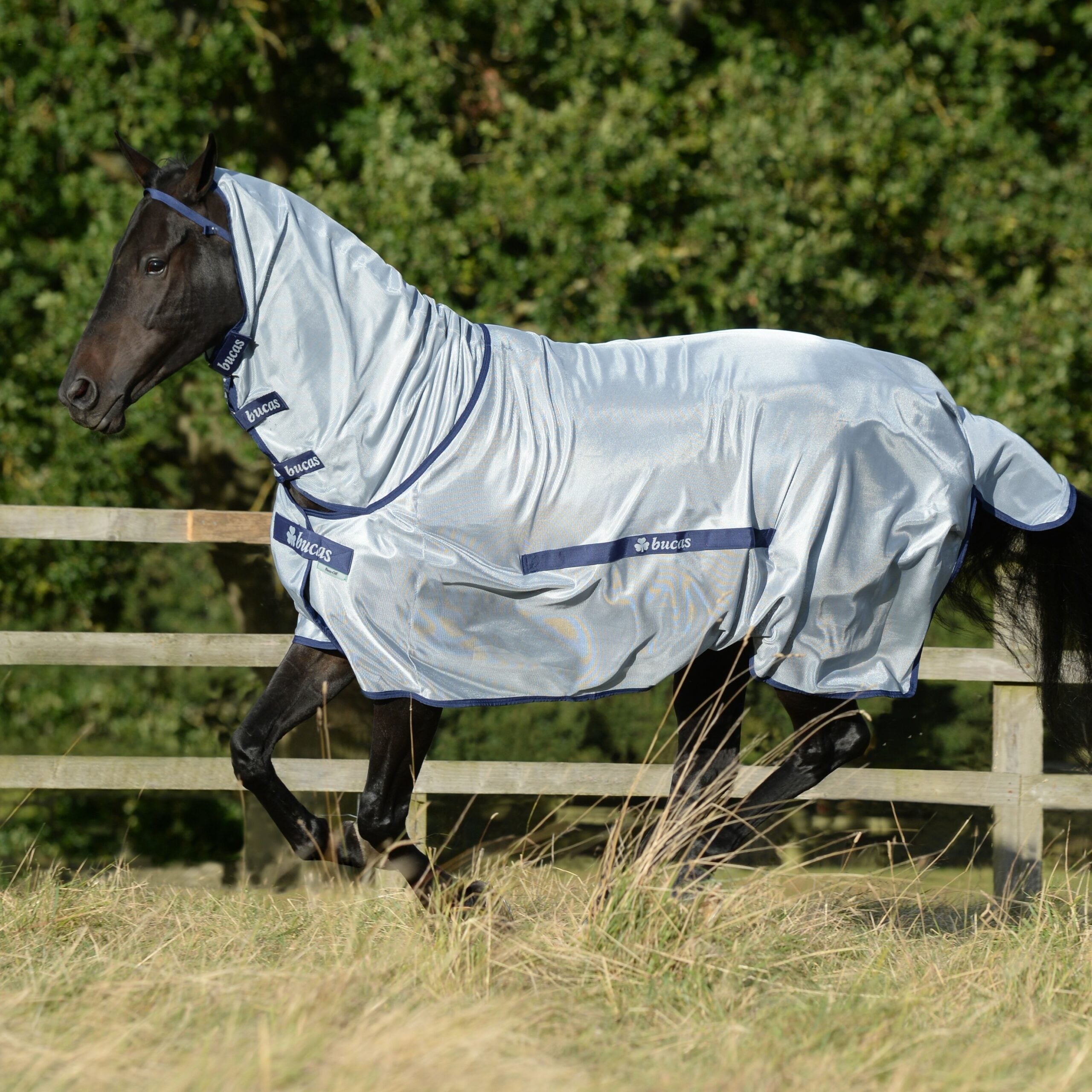Bucas Buzz-Off Full Neck Fly Rug