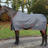 Horse wearing a grey rug with pink trim in an outdoor setting