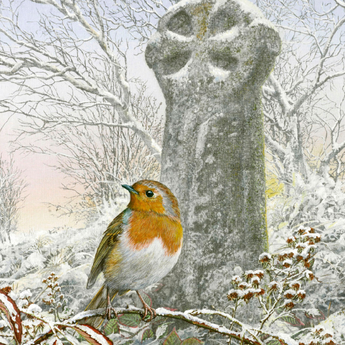 'Celtic Dawn' Robin Christmas Card by Dick Twinney