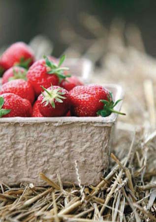 Charles Sainsbury-Plaice English Strawberries Greetings Card