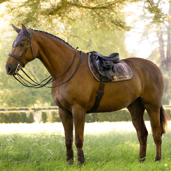 Bay horse wearing a black saddle and bridle with a matching check saddle pad and brown fly ears.