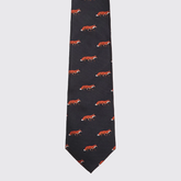 Dubarry Kavanagh Men's Tie in Navy