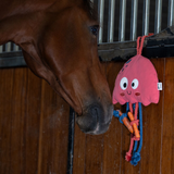 Horse plays with Eskadron Classic Sports Jellyfish Horse Toy