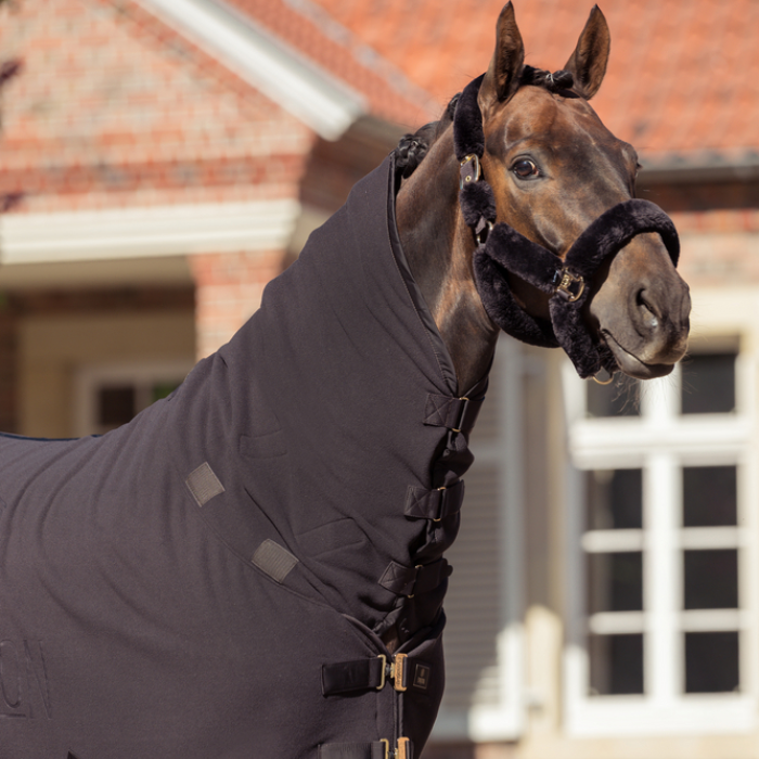 Eskadron Heritage Double Fleece High Neck Sweat Rug in Black Truffle