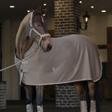Eskadron Platinum 25 Aerial Jersey Sweat Rug in Smoky Taupe
