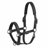 Eskadron Platinum 25 Faux Leather Double Pin Headcollar