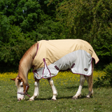 Horse wearing a beige and white fly sheet in a grassy field with trees in the background